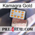 Kamagra Gold new13